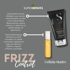 Cellula Madre Smooth Multiplier, Alfaparf
