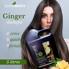 Shampo de ginger 5 Litros