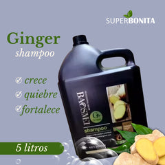 Shampo de ginger 5 Litros