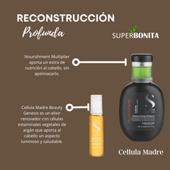 Cellula Madre Restructuring Multiplier Alfaparf